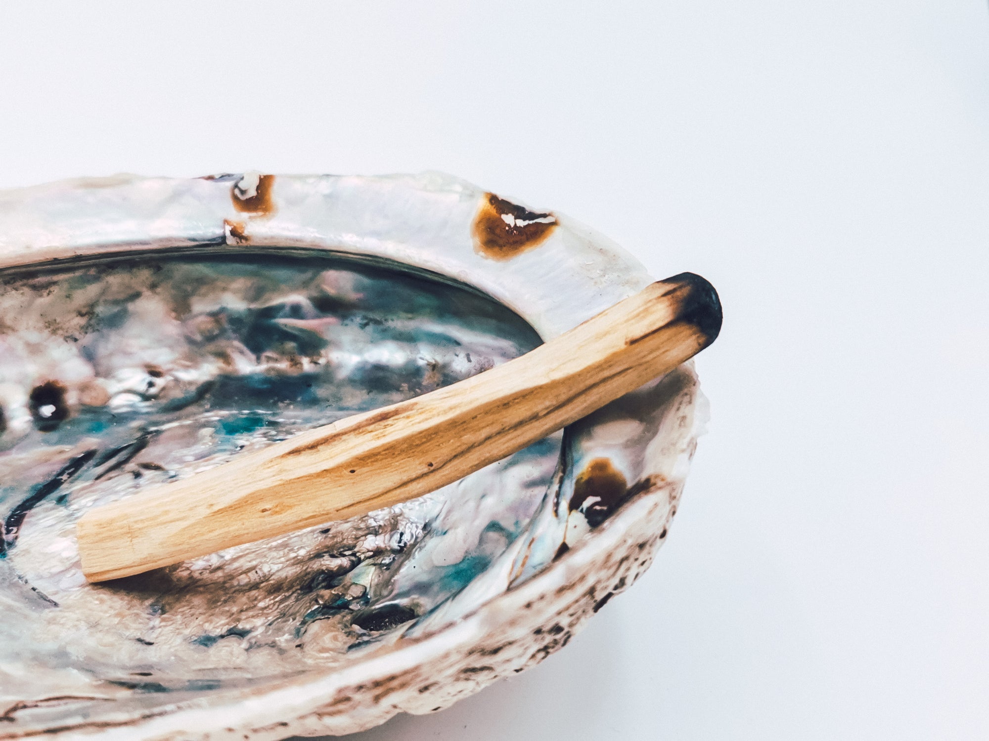 Abalone Muschel Churakuy - Wayu